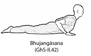 Bhujangasana