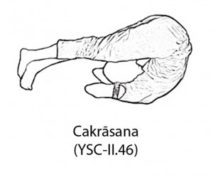 Cakrasana