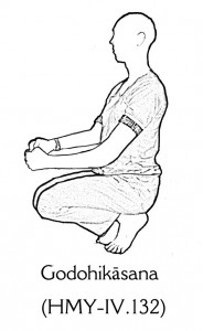 Godohikāsana