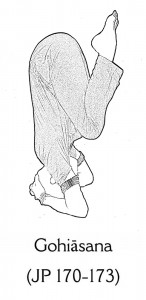 Gohiasana
