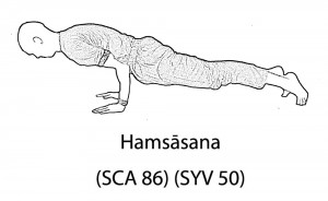Hamsāsana