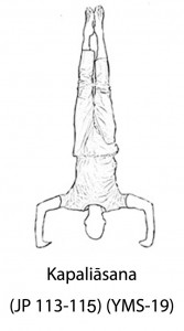 Kapaliāsana