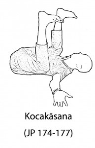 Kocakāsana