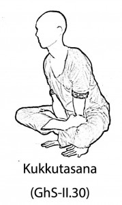 Kukkutasana