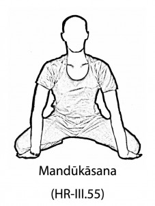 Mandūkāsana