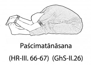 Paścimatānāsana