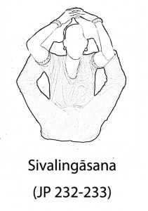 Sivalingāsana