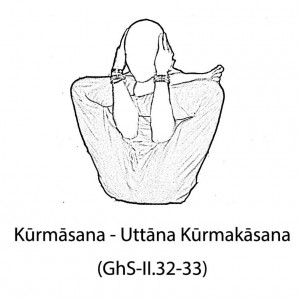 Uttāna Kūrmakāsana