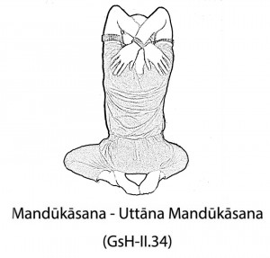 Uttāna Mandūkāsana
