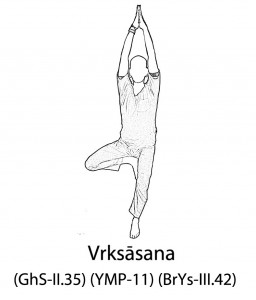 Vrksāsana