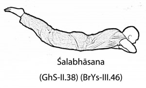 Śalabhāsana